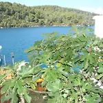 Sea House Mljet 招待所