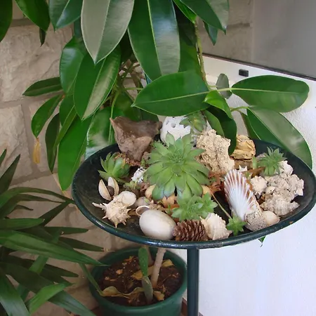 Sea House Mljet Polače