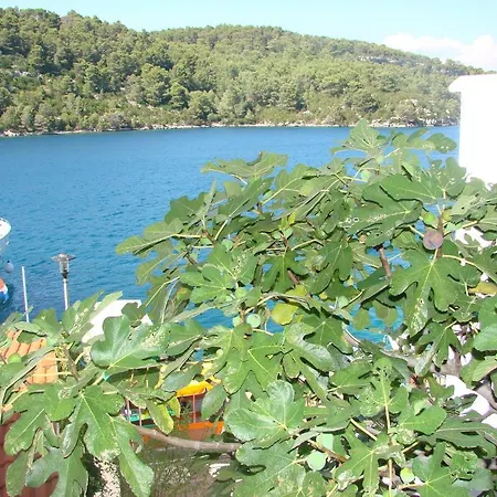 Sea House Mljet Guest house
